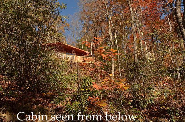 #820 Honeymoon Hideaway Villa Gatlinburg Eksteriør bilde